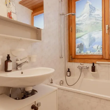 Appartement Dans Beau Village De Suisse