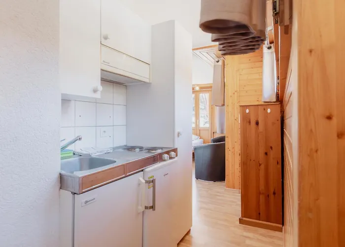 Apartament Dans Beau Village De Suisse