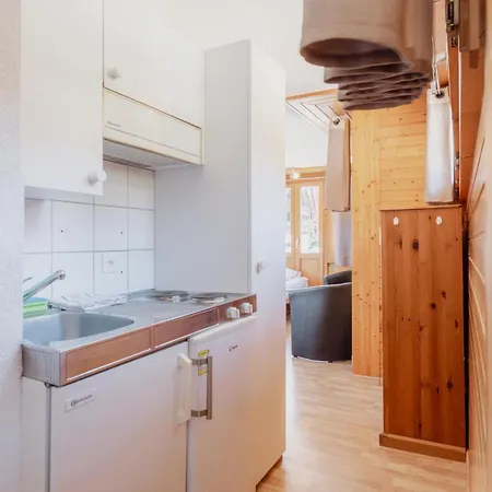 Apartamento Dans Beau Village De Suisse